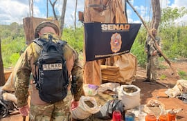 Senad destruyó cultivos de marihuana de un campamento clandestino en Alto Verá