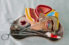 Estética genital masculina.