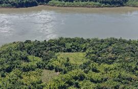 La parcela de marihuana está ubicada a metros del río Paraná, en la frontera con Argentina.