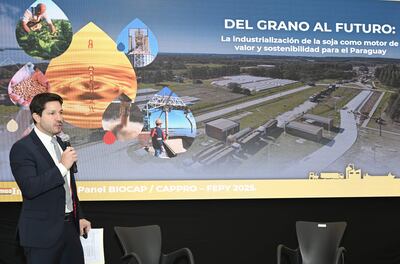 Raúl Valdés, presidente de CAPPRO, durante la ponencia en FEPY.