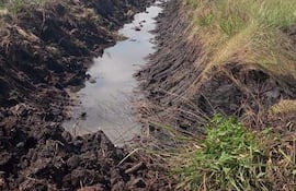 Terreno agrícola con canal de agua estancada y surcos de tierra, sin personas presentes.