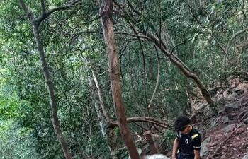Rescatan a joven lesionada en el cerro Hü.