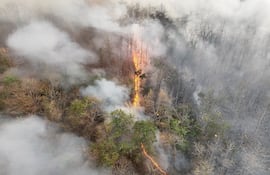 Ejemplo del fenómeno climático de El Niño, que causa sequías y aumenta incendios forestales en ciertas regiones.
