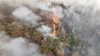 Ejemplo del fenómeno climático de El Niño, que causa sequías y aumenta incendios forestales en ciertas regiones.