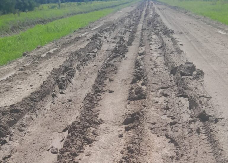 Zona de Santa Virginia, recientemente reparada y de nuevo destruida por conductores inconscientes.