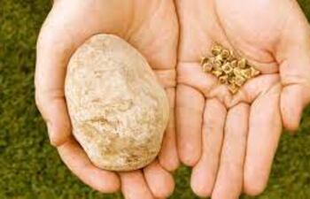 Piedras en la vesícula