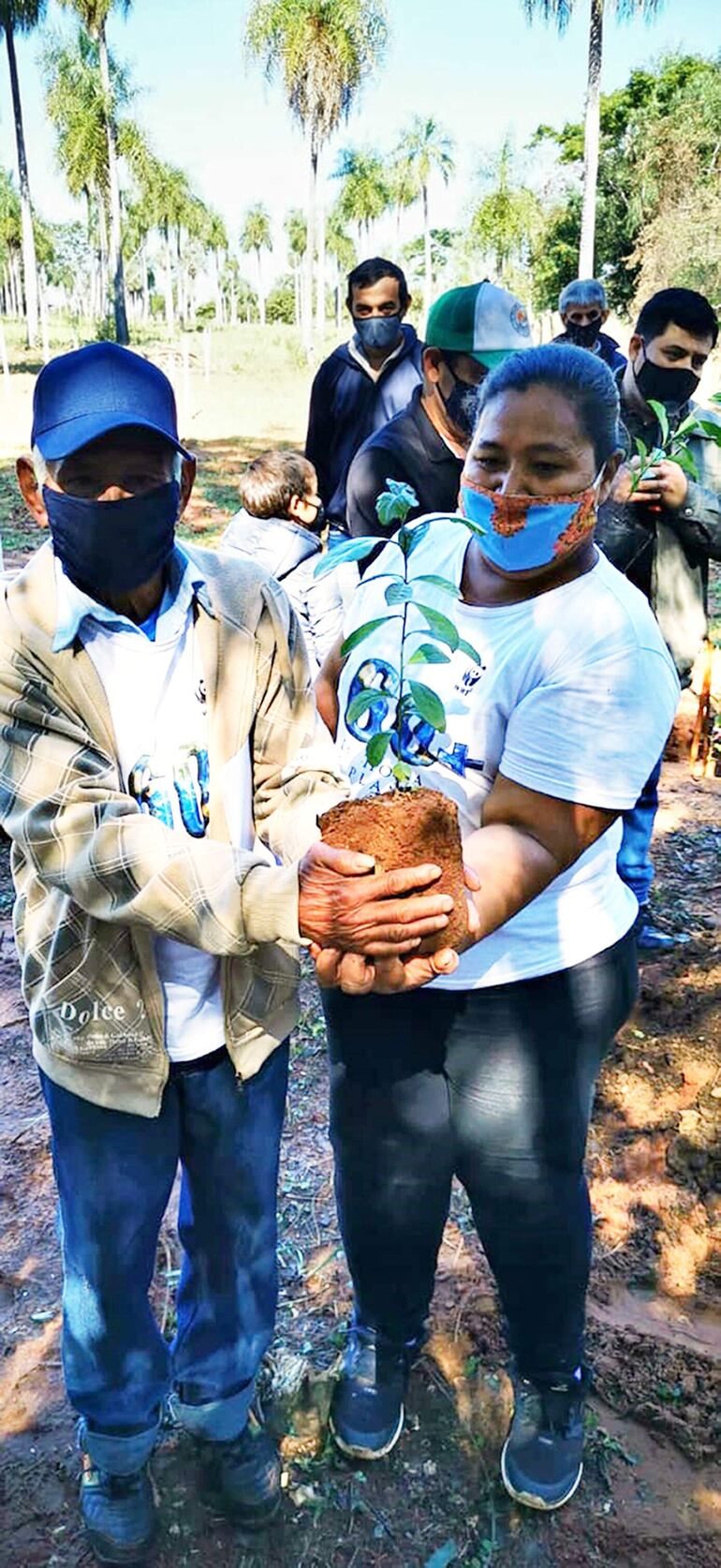 Los productores: Balbina Villalba y su padre Marciano Villalba, quienes se inician al cultivo de yerba mate.