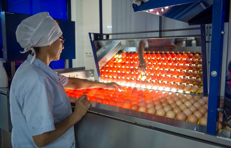 Desde Avipar confirmaron que la producción y el consumo de huevos ha crecido este año.