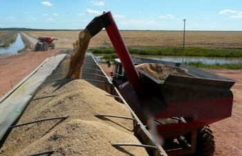 La producción y cooperación, una combinación que traspasa fronteras