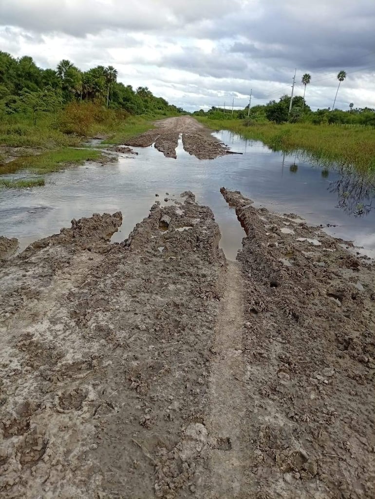 Camino rural en mal estado, cubierto de barro y agua estancada rodeado de vegetación variada.