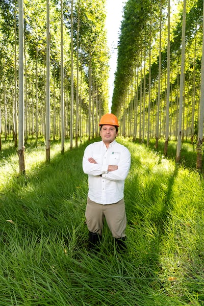 Plansur: la historia que va de 50 a 4.500 hectáreas forestales por año