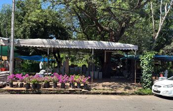 Flores, planteras, abonos, cesped, piedritas se ofertan en Isla de Francia, que corre serio riesgo de desaparecer.