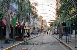 Colocan "túnel" de luces sobre calle Palma.