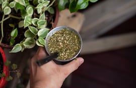 El tereré acompaña diariamente a miles de paraguayos.