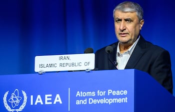 Mohammad Eslami, jefe de la Organización de Energía Atómica de Irán.