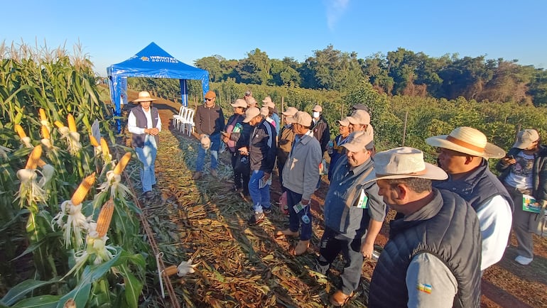 INBIO impulsa sostenibilidad a más de 350 productores