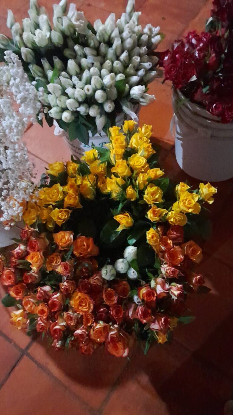 En Cabañas, la producción de flores se convierte en un atractivo que cautiva a visitantes y amantes de la naturaleza.