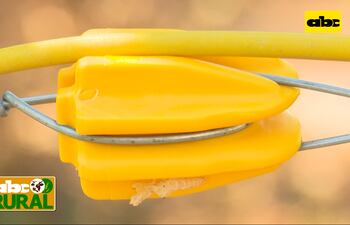 Abc Rural: Importancia del alambrado eléctrico para el manejo de ganado