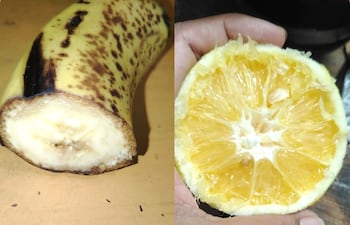 Denuncian que niños reciben media naranja y media banana en Ybycuí.