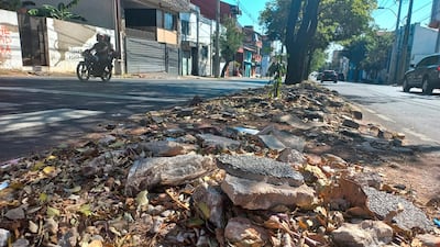 Paseo central de Av. Rodríguez de Francia tiene hasta escombros abandonados. Ayer a las 12:56.