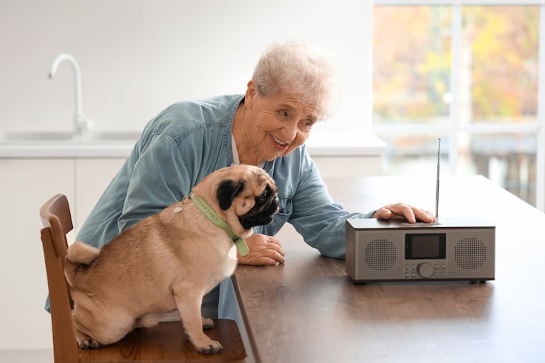 Concepto de perro escuchando la radio, música, etcétera.