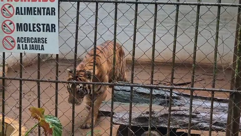 Minizoológico Juan XXIII de Encarnación ofrece el contacto con las especies autóctonas de la región