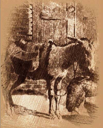 /pf/resources/images/abc-placeholder.png?d=2381