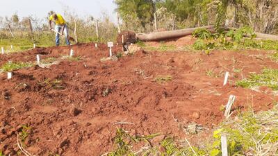 La exhumación se realizó este sábado.