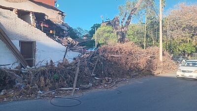 Gran parte de la vereda se encuentra intransitable para las personas a raíz de la cantidad de ramas que la cubren.
