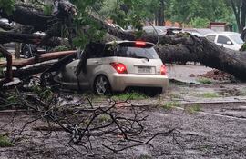 Reportan árboles, cables caídos y semáforos fuera de servicio, en medio de las tormentas.