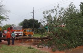 El temporal de este jueves provocó la caída de varios árboles en las ciudades de Ypané y San Antonio.