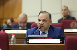 Mario Varela (ANR, Añetete).