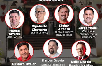 Precandidatos a intendente de Ciudad del Este.