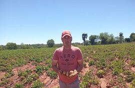El productor Víctor Curtido señaló que este año esperan vender la papa a mejor precio.