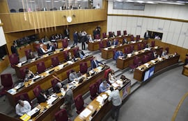 Aspecto de una de las sesiones de la Cámara de Senadores que ayer aprobó los pedidos de informe al BCP y al IPS.