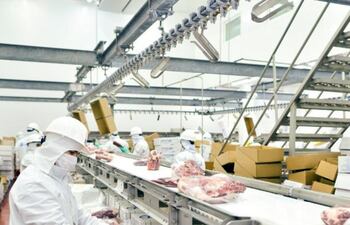Solo la carne vacuna se exportó en enero último un total de 26.391.656 kg, al menos a 32 países. Ingresó divisas al país por US$ 148.368.000.
