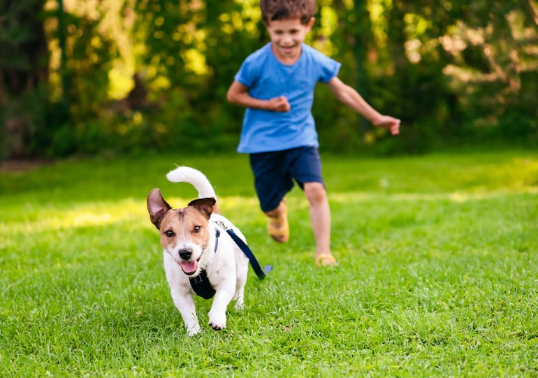 Niño corre tras su perro que intenta escapar.