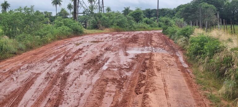 Mencionaron que desde hace más de dos años no se realiza ningún tipo de mantenimiento en el camino.