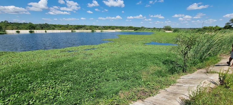 Una de las piletas de la planta de tratamiento de residuos cloacales.