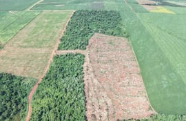 Paisaje aéreo muestra terreno agrícola verde claro y franja de bosque despejado, indicando actividad de deforestación.