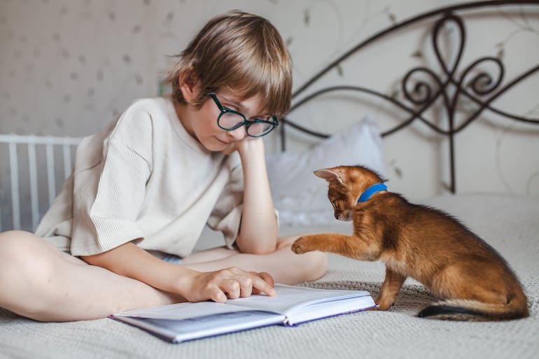 Gato y humano.
