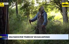 Video: Multado “por puercos” en San Antonio