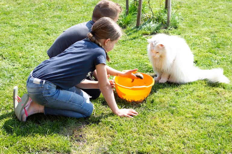 Visitas de Semana Santa sin estrés: cómo ayudar a tu perro o gato cuando la casa se llena.