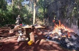 Operativo “Rafaelo”: Senad y FTC ingresan a la reserva San Rafael para destruir cultivos de marihuana