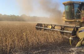 Califican de exitosa a la cosecha de soja 2023.