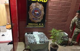 El microtráfico está en auge en Filadelfia, asegura el fiscal. En la foto, teléfonos celulares y marihuana incautados en un allanamiento en el barrio Amistad.