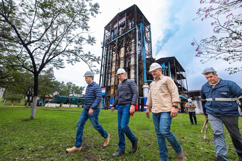 Cañicultores advierten que la molienda de Petropar no se detiene, pero ya no da abasto para recibir la producción.