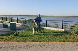 Inician tareas de limpieza en la Costanera Sur este miércoles.