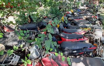 Las motocicletas depositados en el Corralón Municipal de Ciudad del Este están inservibles por lo que serán destruidos.