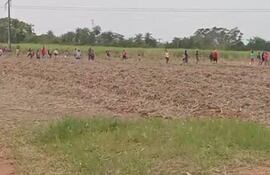 Momentos en que ingresan los supuestos sin tierras en los cañaverales de la localidad de Guarambaré. (captura de imagen)